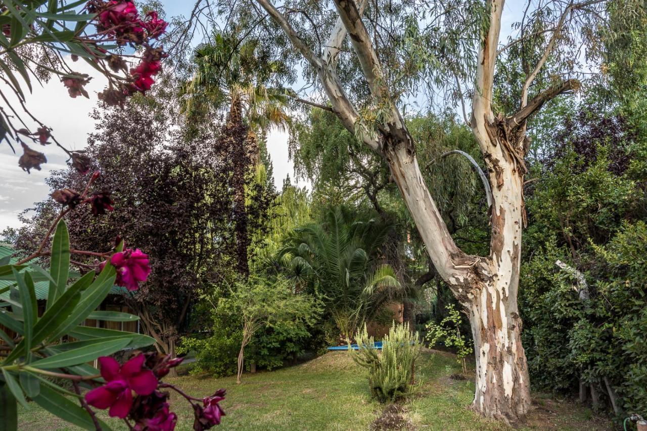 Alquiler Temp "Una Pausa" Barrio Privado En Vistalba Mendoza Kültér fotó